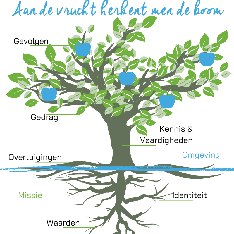 Levensboom Academie voor Herstel en balans - aan de vrucht herkent men de boom