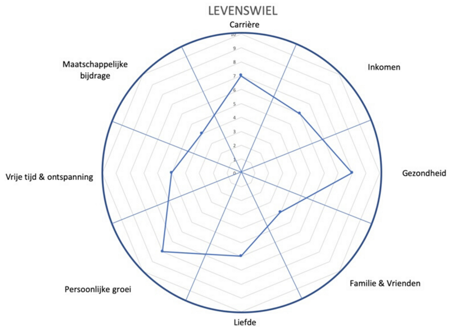 Levenswiel voor meer bewustwording leiderschap met lef van Sylvia Bruning