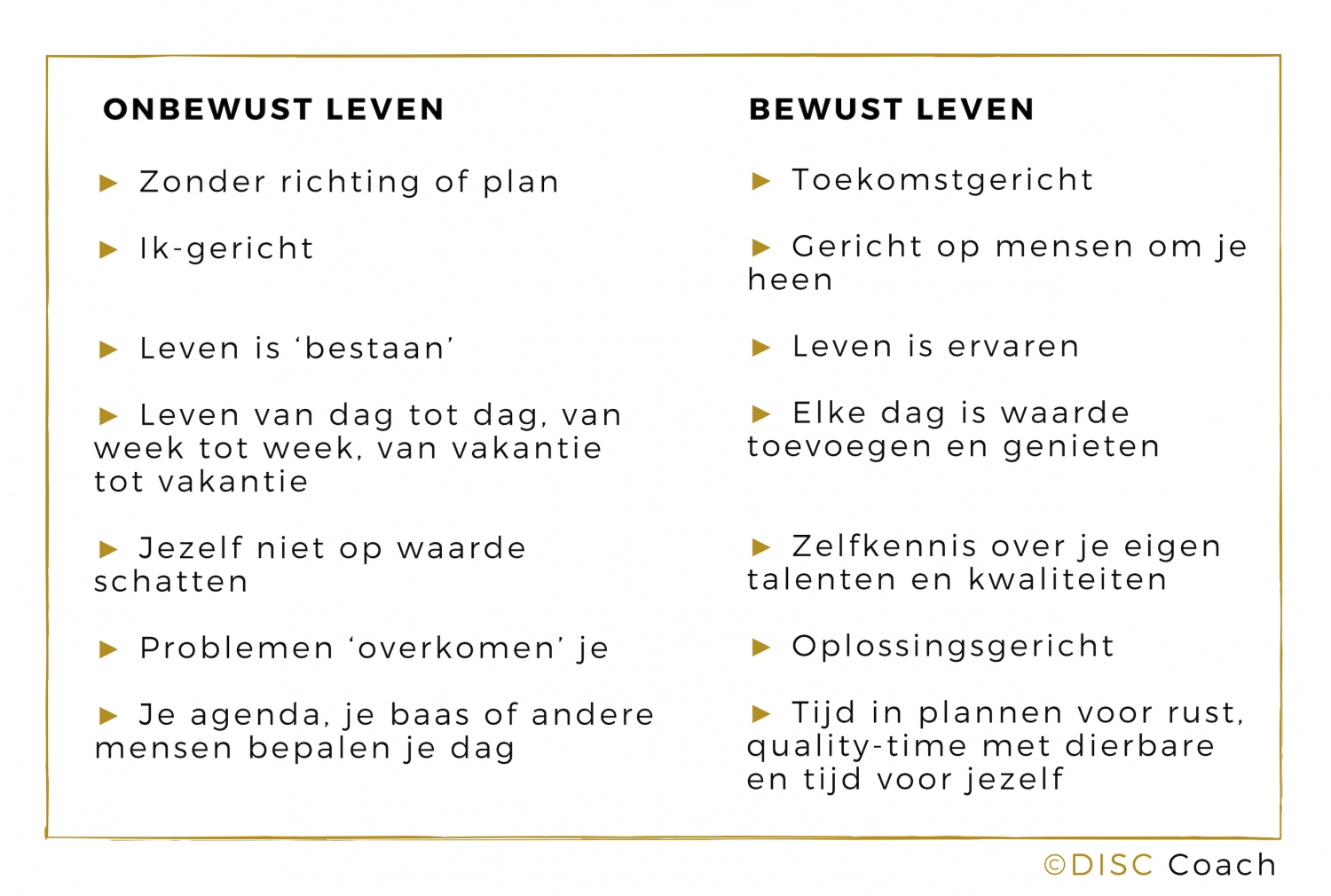 Bewust leven - Disc Coach | Ontdek je persoonlijkheidsprofiel